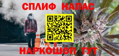твердый Будённовск