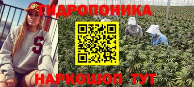 твердый Будённовск