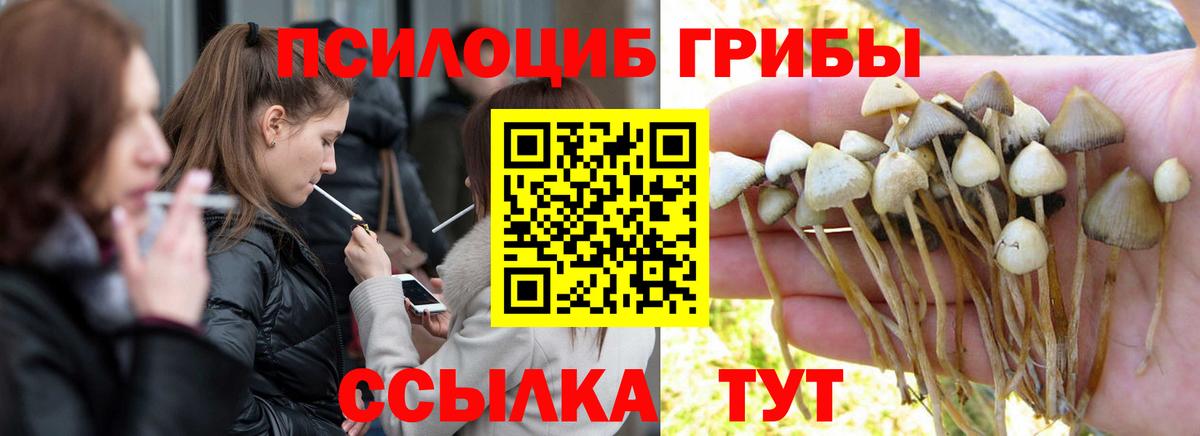 Псилоцибиновые грибы мухоморы  Вход с VPN  Галлюциногенные грибы Psilocybe  Спасск-Дальний 